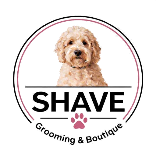 SHAVE